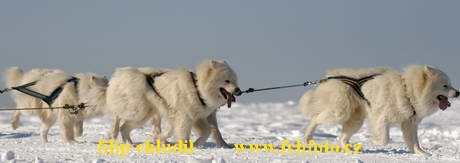 Tri studne 06 - 181.jpg